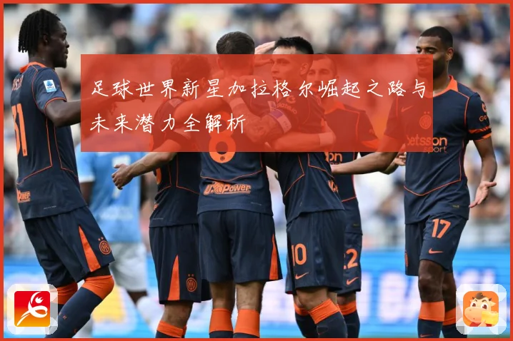 足球世界新星加拉格尔崛起之路与未来潜力全解析