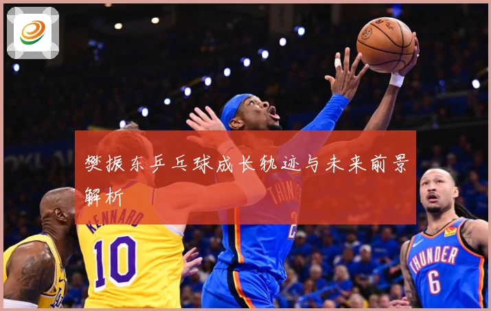 樊振东乒乓球成长轨迹与未来前景解析