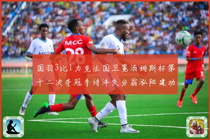 国羽3比1力克法国卫冕汤姆斯杯第十二次夺冠李诗沣失分翁泓阳建功