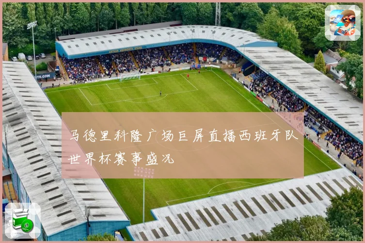 马德里科隆广场巨屏直播西班牙队世界杯赛事盛况