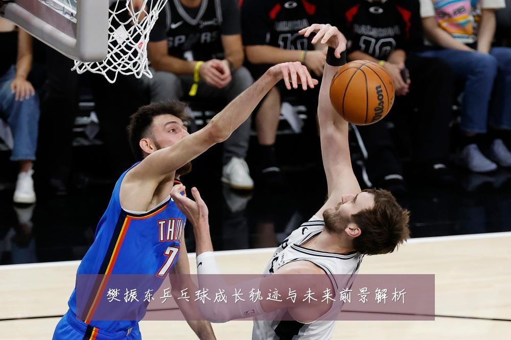 樊振东乒乓球成长轨迹与未来前景解析